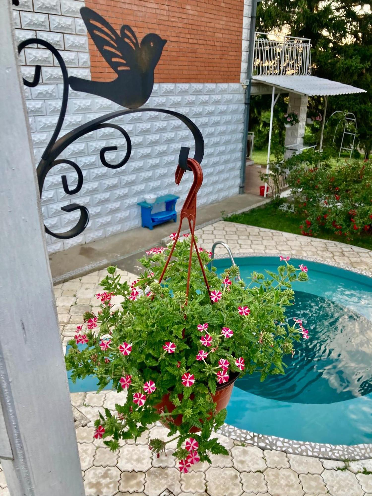 Apartman White House With Sauna And Jacuzzi Novi Sad Exterior foto