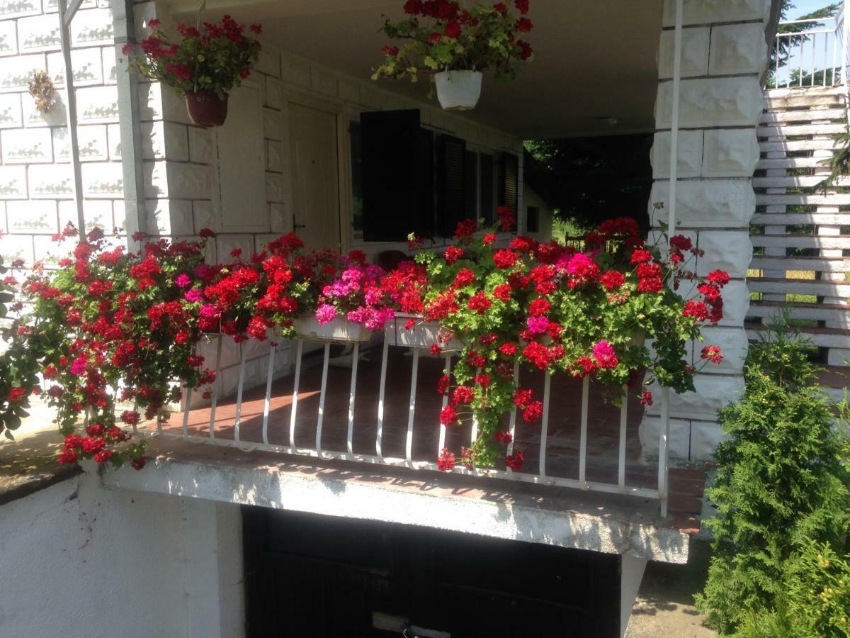 Apartman White House With Sauna And Jacuzzi Novi Sad Exterior foto